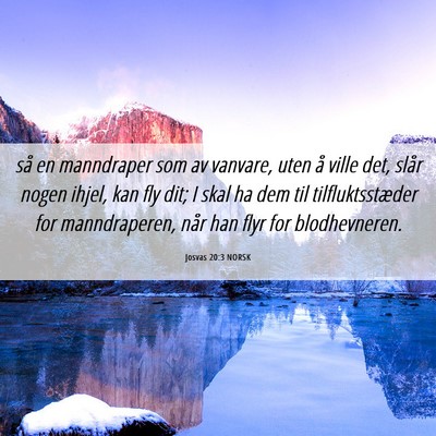 Picture 06 - Josvas 20:3 NORSK - så en manndraper som av vanvare, uten å ville - Bible Verse Picture
