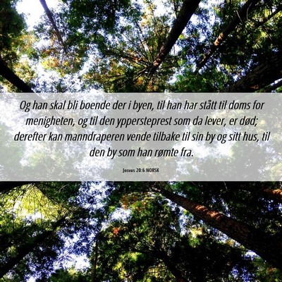 Picture 06 - Josvas 20:6 NORSK - Og han skal bli boende der i byen, til han har - Bible Verse Picture
