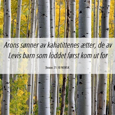 Picture 06 - Josvas 21:10 NORSK - Arons sønner av kahatittenes ætter, de av Levis - Bible Verse Picture