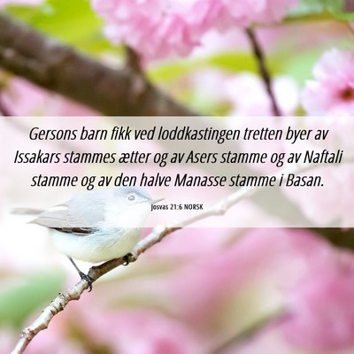 Picture 06 - Josvas 21:6 NORSK - Gersons barn fikk ved loddkastingen tretten byer - Bible Verse Picture