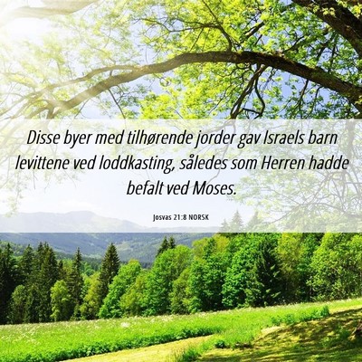 Picture 06 - Josvas 21:8 NORSK - Disse byer med tilhørende jorder gav Israels - Bible Verse Picture