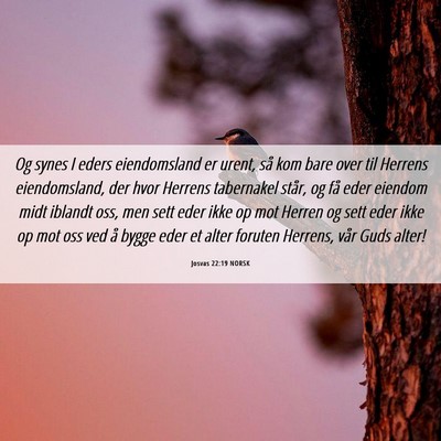 Picture 06 - Josvas 22:19 NORSK - Og synes I eders eiendomsland er urent, så kom - Bible Verse Picture