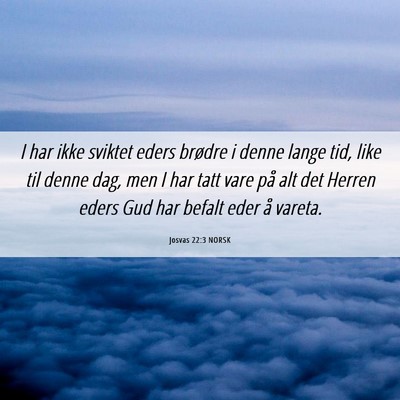 Picture 06 - Josvas 22:3 NORSK - I har ikke sviktet eders brødre i denne lange - Bible Verse Picture