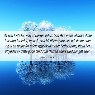 Picture 06 - Josvas 23:13 NORSK - da skal I vite for visst at Herren eders Gud ikke - Bible Verse Picture