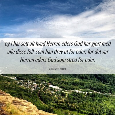 Picture 06 - Josvas 23:3 NORSK - og I har sett alt hvad Herren eders Gud har gjort - Bible Verse Picture