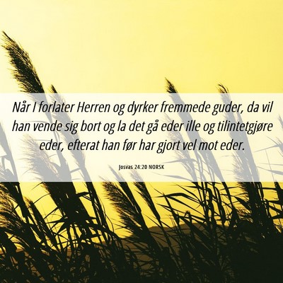 Picture 06 - Josvas 24:20 NORSK - Når I forlater Herren og dyrker fremmede guder, - Bible Verse Picture