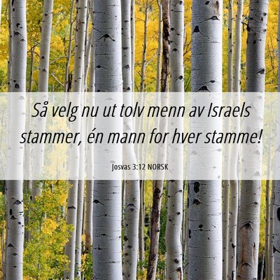 Picture 06 - Josvas 3:12 NORSK - Så velg nu ut tolv menn av Israels stammer, én - Bible Verse Picture