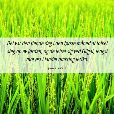 Picture 06 - Josvas 4:19 NORSK - Det var den tiende dag i den første måned at - Bible Verse Picture