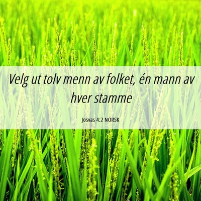 Picture 06 - Josvas 4:2 NORSK - Velg ut tolv menn av folket, én mann av hver - Bible Verse Picture