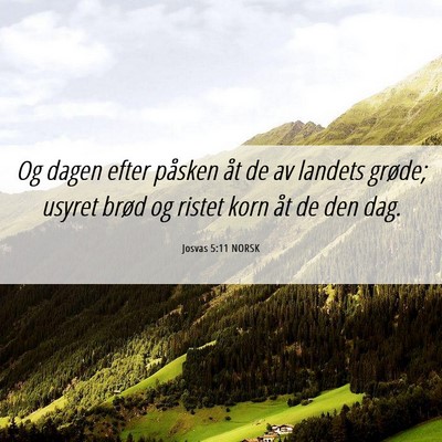 Picture 06 - Josvas 5:11 NORSK - Og dagen efter påsken åt de av landets grøde; - Bible Verse Picture