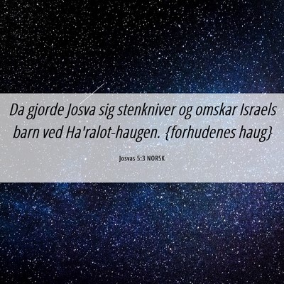 Picture 06 - Josvas 5:3 NORSK - Da gjorde Josva sig stenkniver og omskar Israels - Bible Verse Picture