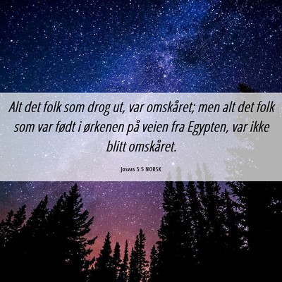 Picture 06 - Josvas 5:5 NORSK - Alt det folk som drog ut, var omskåret; men alt - Bible Verse Picture