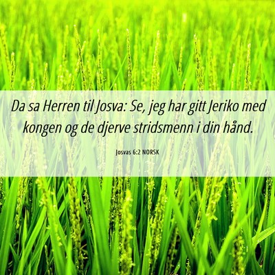 Picture 06 - Josvas 6:2 NORSK - Da sa Herren til Josva: Se, jeg har gitt Jeriko - Bible Verse Picture