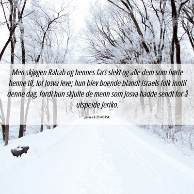 Picture 06 - Josvas 6:25 NORSK - Men skjøgen Rahab og hennes fars slekt og alle - Bible Verse Picture