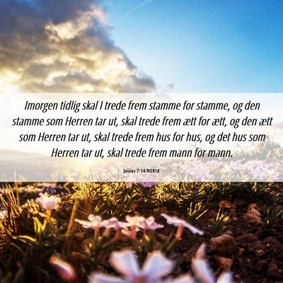 Picture 06 - Josvas 7:14 NORSK - Imorgen tidlig skal I trede frem stamme for - Bible Verse Picture