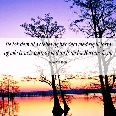 Picture 06 - Josvas 7:23 NORSK - De tok dem ut av teltet og bar dem med sig til - Bible Verse Picture