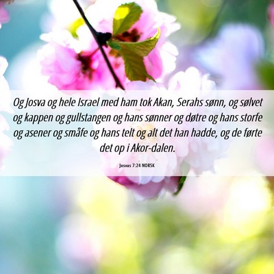 Picture 06 - Josvas 7:24 NORSK - Og Josva og hele Israel med ham tok Akan, Serahs - Bible Verse Picture
