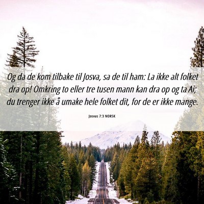 Picture 06 - Josvas 7:3 NORSK - Og da de kom tilbake til Josva, sa de til ham: La - Bible Verse Picture