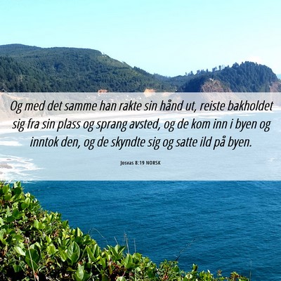 Picture 06 - Josvas 8:19 NORSK - Og med det samme han rakte sin hånd ut, reiste - Bible Verse Picture