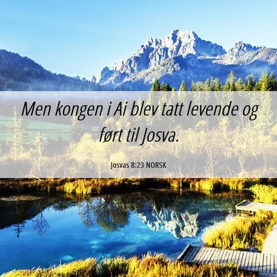 Picture 06 - Josvas 8:23 NORSK - Men kongen i Ai blev tatt levende og ført til - Bible Verse Picture