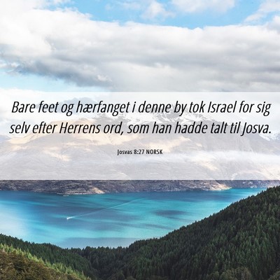 Picture 06 - Josvas 8:27 NORSK - Bare feet og hærfanget i denne by tok Israel for - Bible Verse Picture