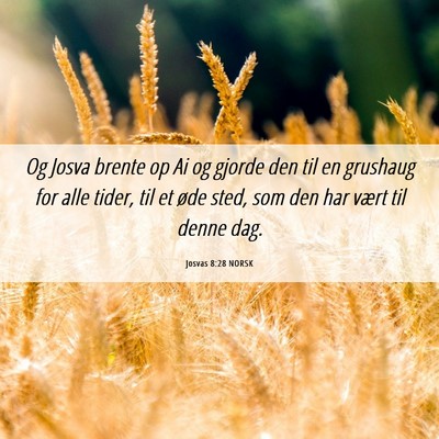 Picture 06 - Josvas 8:28 NORSK - Og Josva brente op Ai og gjorde den til en - Bible Verse Picture
