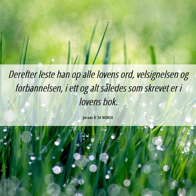 Picture 06 - Josvas 8:34 NORSK - Derefter leste han op alle lovens ord, - Bible Verse Picture