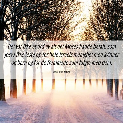 Picture 06 - Josvas 8:35 NORSK - Det var ikke et ord av alt det Moses hadde - Bible Verse Picture