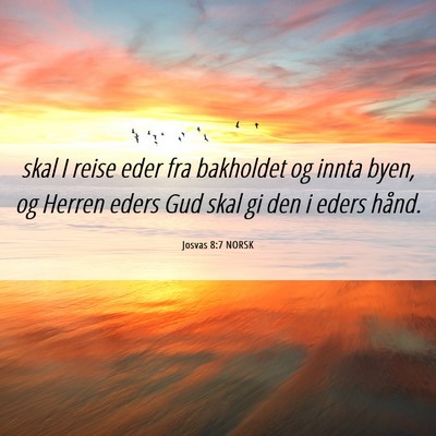 Picture 06 - Josvas 8:7 NORSK - skal I reise eder fra bakholdet og innta byen, og - Bible Verse Picture