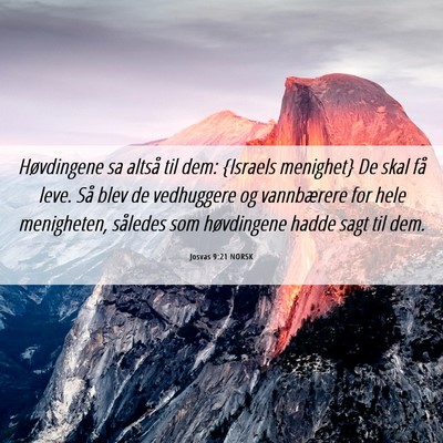 Picture 06 - Josvas 9:21 NORSK - Høvdingene sa altså til dem: {Israels menighet} - Bible Verse Picture
