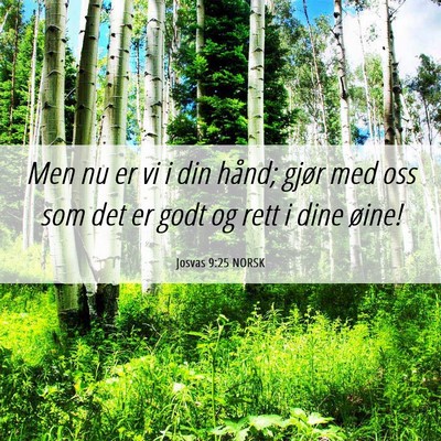 Picture 06 - Josvas 9:25 NORSK - Men nu er vi i din hånd; gjør med oss som det - Bible Verse Picture
