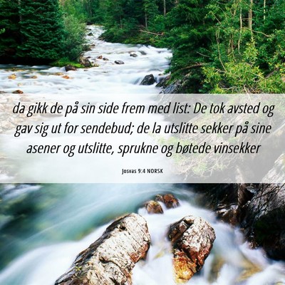 Picture 06 - Josvas 9:4 NORSK - da gikk de på sin side frem med list: De tok - Bible Verse Picture