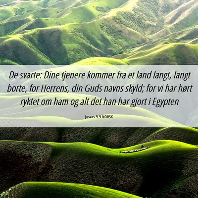 Picture 06 - Josvas 9:9 NORSK - De svarte: Dine tjenere kommer fra et land langt, - Bible Verse Picture