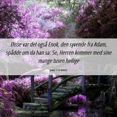 Picture 06 - Judas 1:14 NORSK - Disse var det også Enok, den syvende fra Adam, - Bible Verse Picture