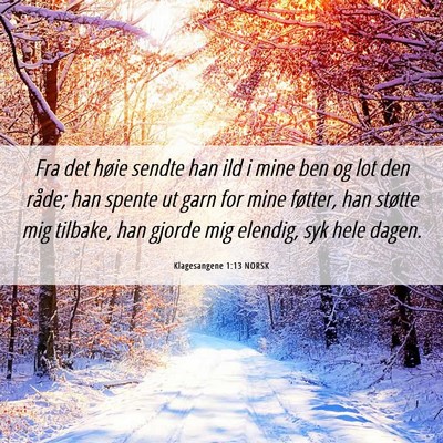Picture 06 - Klagesangene 1:13 NORSK - Fra det høie sendte han ild i mine ben og lot - Bible Verse Picture