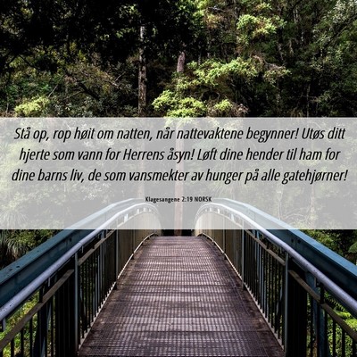 Picture 06 - Klagesangene 2:19 NORSK - Stå op, rop høit om natten, når nattevaktene - Bible Verse Picture