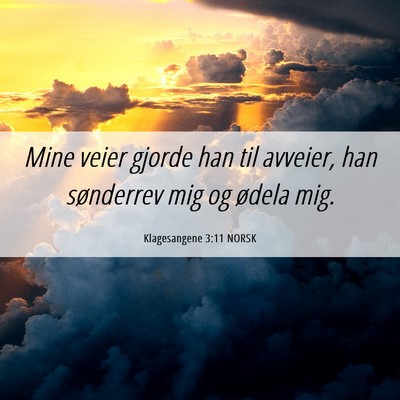 Picture 06 - Klagesangene 3:11 NORSK - Mine veier gjorde han til avveier, han sønderrev - Bible Verse Picture