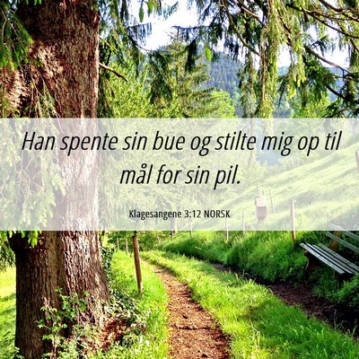Picture 06 - Klagesangene 3:12 NORSK - Han spente sin bue og stilte mig op til mål for - Bible Verse Picture