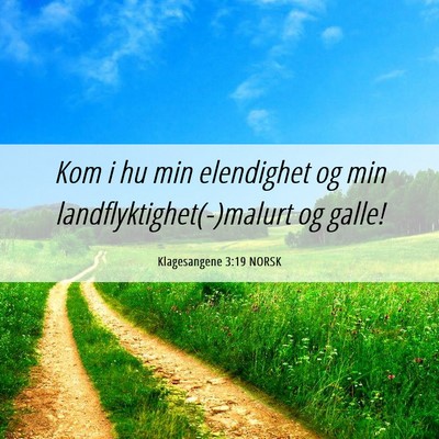 Picture 06 - Klagesangene 3:19 NORSK - Kom i hu min elendighet og min - Bible Verse Picture
