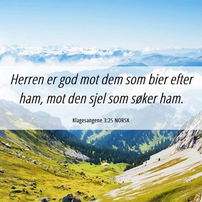 Picture 06 - Klagesangene 3:25 NORSK - Herren er god mot dem som bier efter ham, mot den - Bible Verse Picture