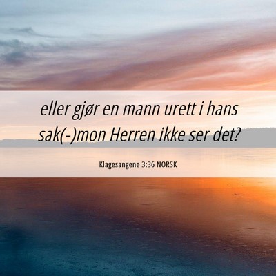 Picture 06 - Klagesangene 3:36 NORSK - eller gjør en mann urett i hans sak(-)mon Herren - Bible Verse Picture