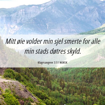 Picture 06 - Klagesangene 3:51 NORSK - Mitt øie volder min sjel smerte for alle min - Bible Verse Picture