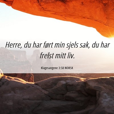 Picture 06 - Klagesangene 3:58 NORSK - Herre, du har ført min sjels sak, du har frelst - Bible Verse Picture