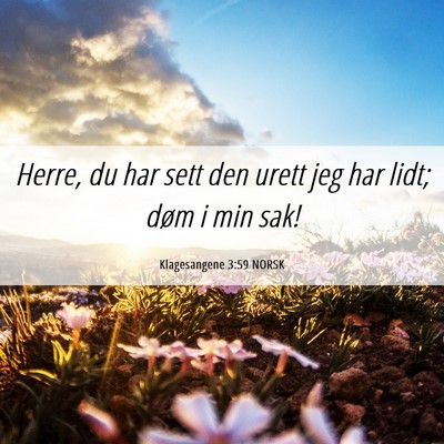 Picture 06 - Klagesangene 3:59 NORSK - Herre, du har sett den urett jeg har lidt; døm i - Bible Verse Picture