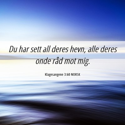 Picture 06 - Klagesangene 3:60 NORSK - Du har sett all deres hevn, alle deres onde råd - Bible Verse Picture