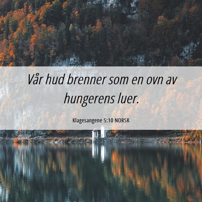 Picture 06 - Klagesangene 5:10 NORSK - Vår hud brenner som en ovn av hungerens - Bible Verse Picture