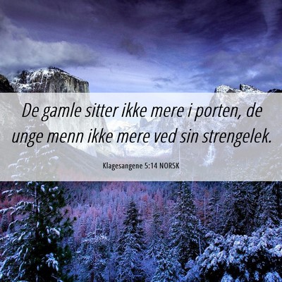 Picture 06 - Klagesangene 5:14 NORSK - De gamle sitter ikke mere i porten, de unge menn - Bible Verse Picture