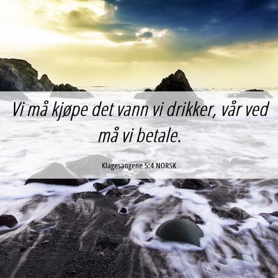 Picture 06 - Klagesangene 5:4 NORSK - Vi må kjøpe det vann vi drikker, vår ved må - Bible Verse Picture