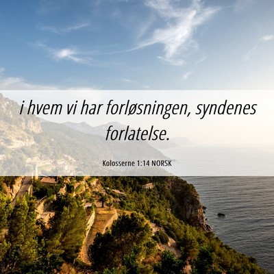 Picture 06 - Kolosserne 1:14 NORSK - i hvem vi har forløsningen, syndenes - Bible Verse Picture