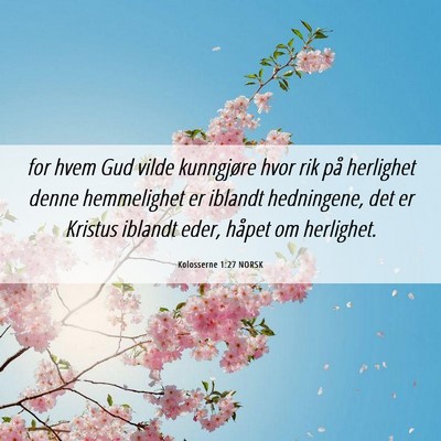 Picture 06 - Kolosserne 1:27 NORSK - for hvem Gud vilde kunngjøre hvor rik på - Bible Verse Picture